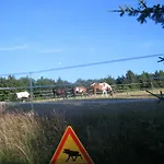 Romantikmühle Heartlandranch Krummenau