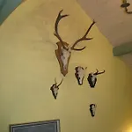 Bed and breakfast Romantikmühle Heartlandranch 3*