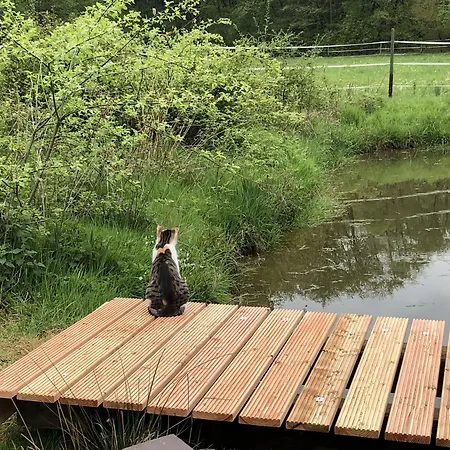 Romantikmuehle Heartlandranch 住宿加早餐酒店