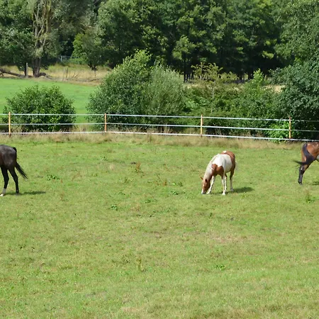 Romantikmuehle Heartlandranch 3*