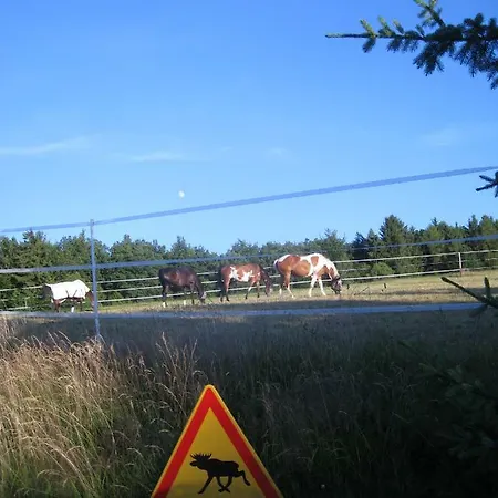 Romantikmuehle Heartlandranch Krummenau