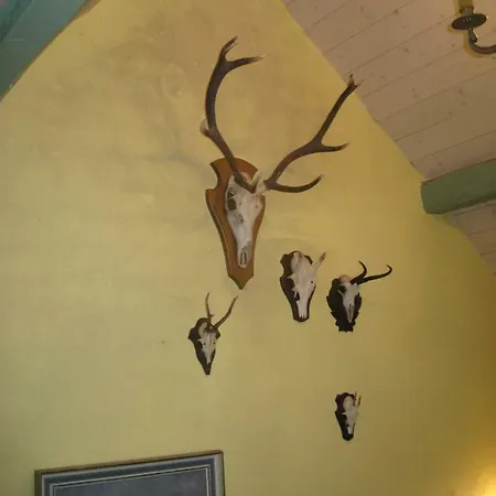 Bed & Breakfast Romantikmuehle Heartlandranch 3*