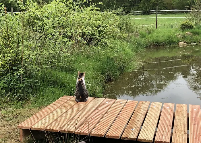 Romantikmuehle Heartlandranch 住宿加早餐酒店