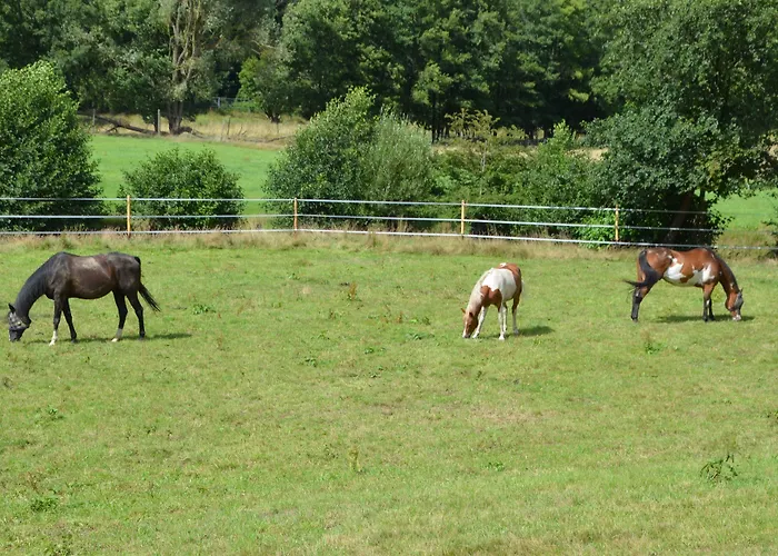 Romantikmuehle Heartlandranch 3*