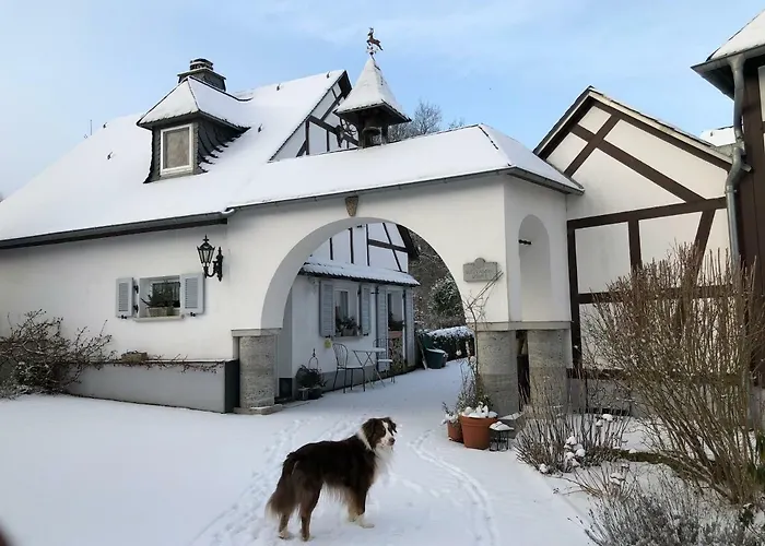 住宿加早餐酒店 Romantikmuehle Heartlandranch 3*