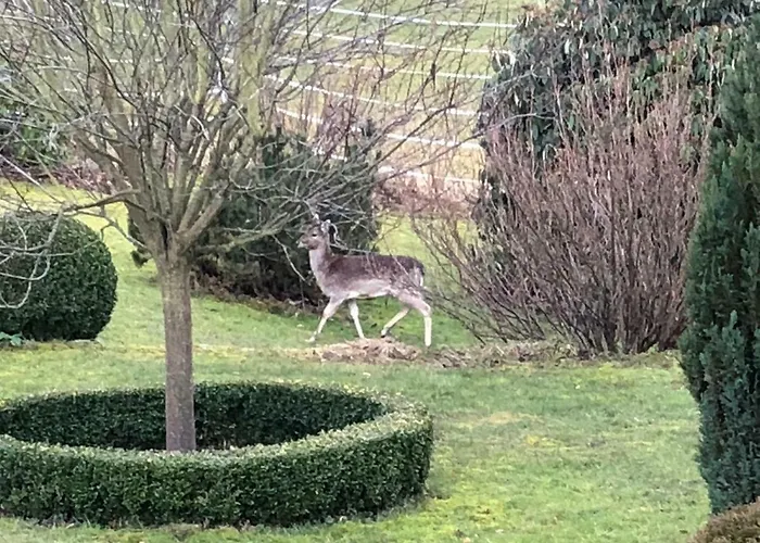 Nocleg ze śniadaniem Romantikmuehle Heartlandranch Krummenau
